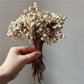 Bó Hoa Bạch Quả Hoa Khô Trang Trí Đạo Cụ Chụp Ảnh Sản Phẩm, Phụ Kiện Làm Đồ Hand Made Resin DIY Fishy Decor
