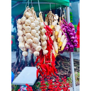 Hàng cao cấp 50cm - Dây hành tỏi ớt, lạc, ngô,giả y như thật trang trí quán ăn nhà bếp.....