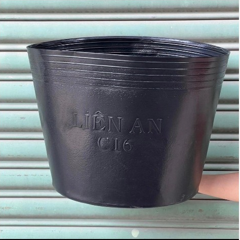 (COMBO 20 CHẬU C16) CHẬU NHỰA TRỒNG CÂY LIÊN AN (đường kính 40cmx31cm)
