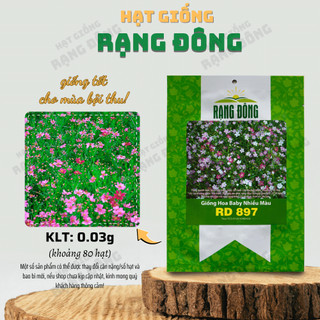 Hạt giống Hoa Baby Nhiều Màu Rd 897 (0,03g~80 hạt) dùng làm hoa khô trang trí, trồng quanh năm - Hạt giống Rạng Đông