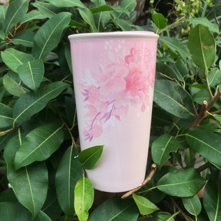 Ly sứ dung tích 10oz các màu của Starbucks Việt Nam