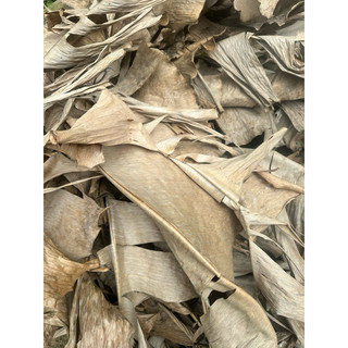 500g lá chuối khô tự nhiên