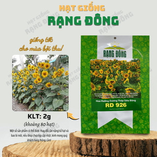 Hạt giống Hướng Dương Tháp Siêu Bông Rado 926 (2g - 5g~80 hạt) dễ chăm, trồng quanh năm - Hạt giống Rạng Đông