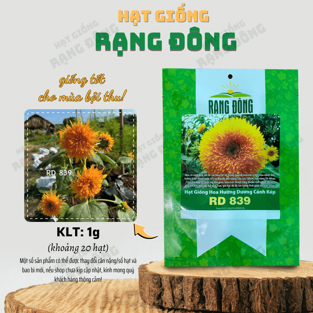 Hạt giống Hoa Hướng Dương Cánh Kép Rd 839 (1g~20 hạt) dễ trồng, nhanh ra hoa, nảy mầm tốt - Hạt giống Rạng Đông | L22