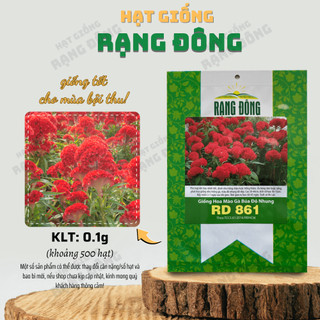 Hạt giống Hoa Mào Gà Búa Đỏ Nhung Rd 861 sinh trưởng khỏa, trồng quanh năm - Hạt giống Rạng Đông