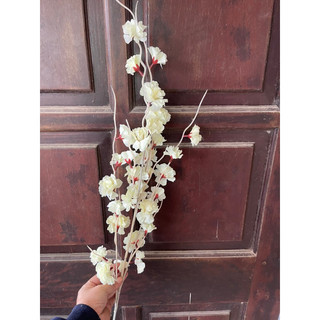 đào râu trang trí sự kiện