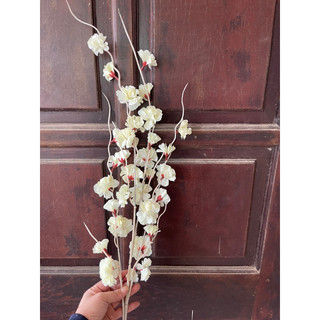 đào râu trang trí sự kiện