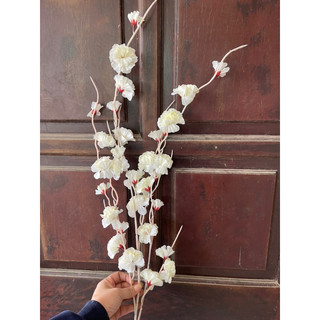 đào râu trang trí sự kiện