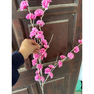 đào râu trang trí sự kiện