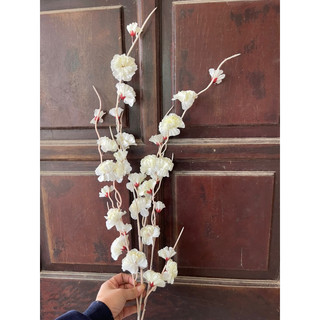 đào râu trang trí sự kiện