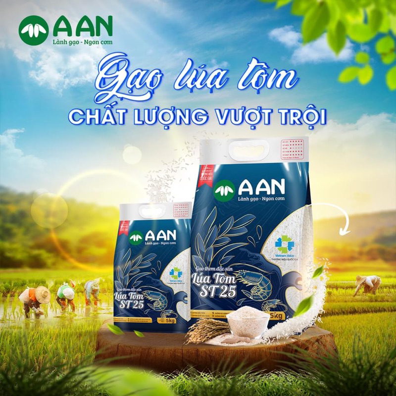 Gạo Lúa Tôm ST25 A An Túi 5kg