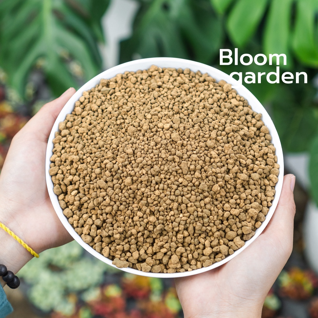 (1kg) Akadama Ryusen - Siêu cứng thích hợp làm phân nền thủy sinh, Trồng Bonsai, Sen đá - Xương rồng