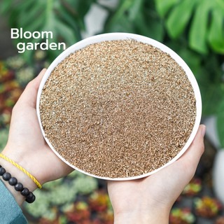 Đá Vermiculite - Giúp sen đá nảy mầm, phát rễ, lên màu | Bloom Garden