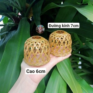 Bội gà tí hon