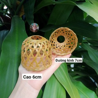 Bội gà tí hon