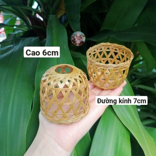 Bội gà tí hon
