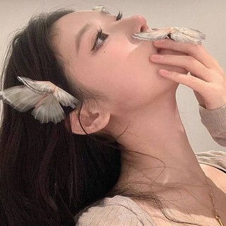 Kẹp Tóc Bướm Mỏ Vịt Đính Ngọc Trai