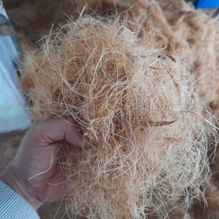 Chỉ xơ dừa dùng giữ ẩm gốc cây