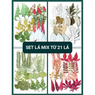 Set lá mix ép khô handmade làm resin, journal, diy