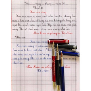 Bút luyện chữ đẹp thầy ánh 6100 ngòi mài thanh đậm