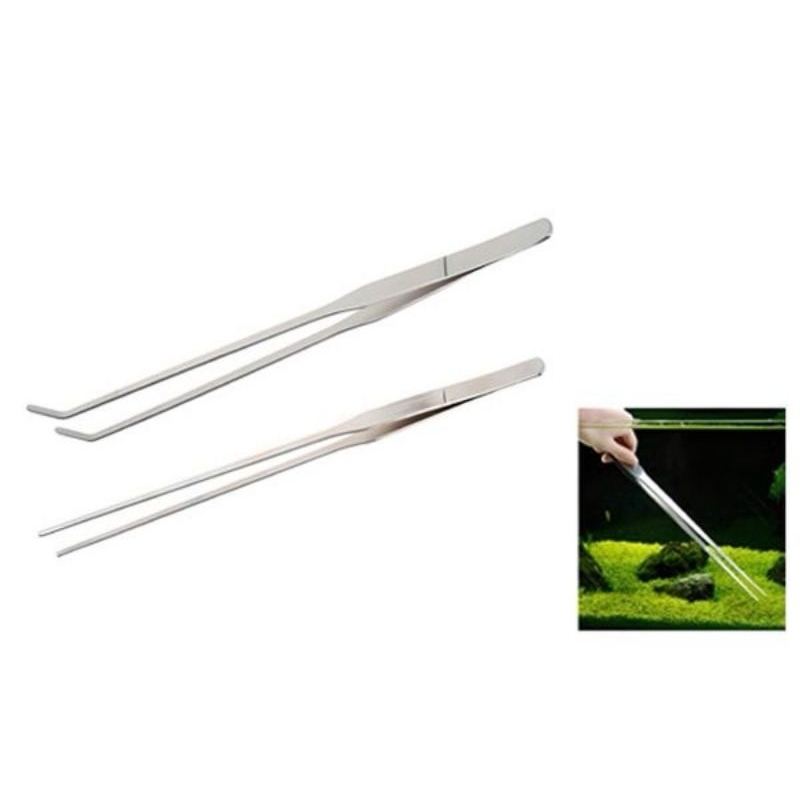 Nhíp trồng cây hồ thủy sinh