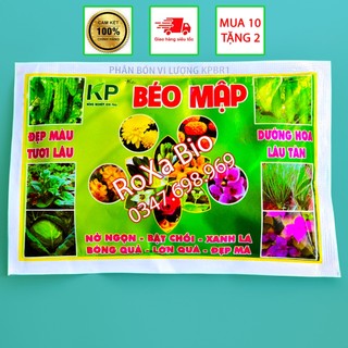 Phân bón Béo Mập mập thân mập chèo bung chèo xanh dày lá mập cọng siêu bung chèo