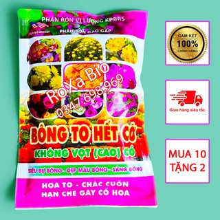 Phân bón bông to hết cỡ kích ra hoa siêu bự bông mập nụ lớn bông sáng bông lâu tàn cứng cổ bông lên màu
