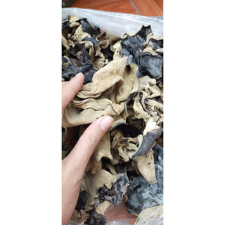 MỌC NHĨ - NẤM HƯƠNG 100Gr
