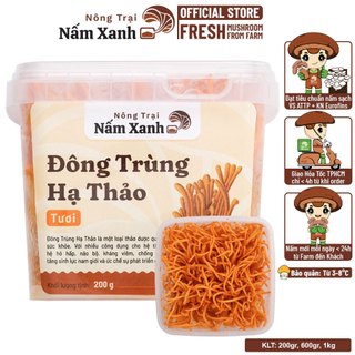 [HCM] Nấm Đông Trùng Hạ Thảo Tươi Sinh Khối Hũ 200gr - 1kg Nguyên Chất - Nông Trại Nấm Xanh