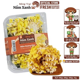 [HCM] Nấm Hoàng Kim Tươi 500gr 1kg (Nấm Ngô Vàng Tươi) Sạch Thơm Ngon - Nông Trại Nấm Xanh