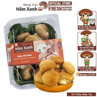 [HCM] Nấm Mỡ Nâu Tươi 200gr 600gr 1kg Loại Ngon Sạch - Nông Trại Nấm Xanh