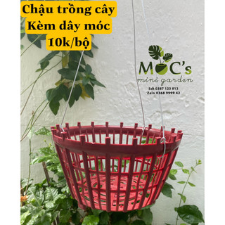 Chậu nhựa trồng lan - phi 20 - kèm móc treo || mocminigarden