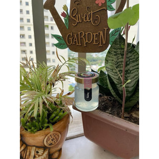 Yến chưng sẵn baby