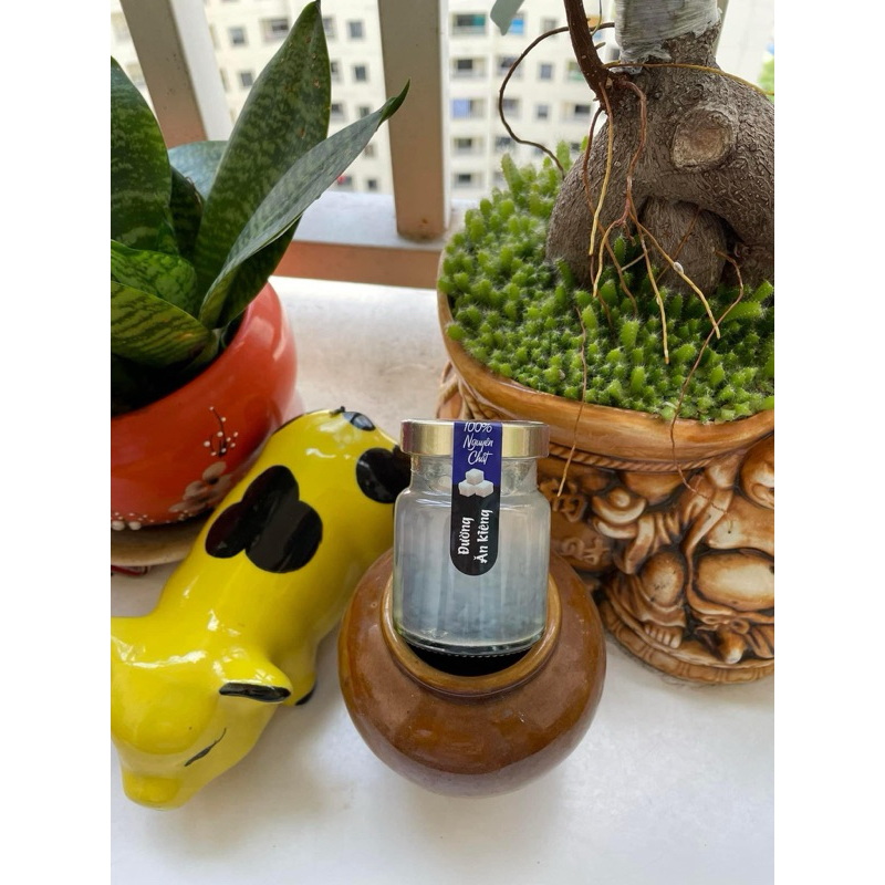 YẾN CHƯNG SẴN ĐƯỜNG ĂN KIÊNG (1 HỦ 70ML)
