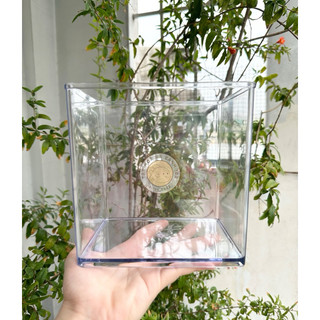Hồ nhựa mini nuôi cá 15x12x15 - betta, guppy, cá thuỷ sinh _ cao cấp siêu trong