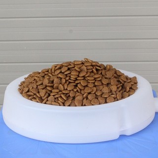 Thức ăn hạt cho mèo CATSRANG 1kg Date mới