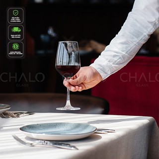 Ly rượu vang thủy tinh Ocean Lexington & Vino Red Wine 455ml (Bộ 06 ly chính hãng, Made in Thailand]