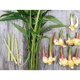 1Kg Mứt gừng viên sấy dẻo