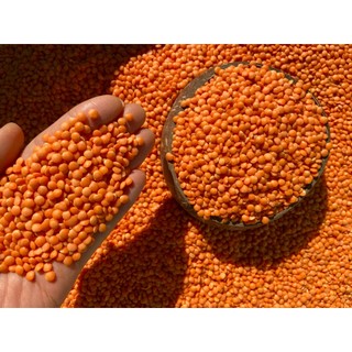 Đậu Lăng Đỏ Hữu Cơ Không Biến Đổi Gen Nhập Khẩu Canada Làm sữa hạt, giảm cân, cho bé ăn dặm