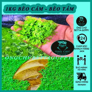 Bèo cám thủy sinh - 1 phần 100 nhánh