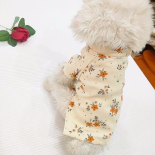 Áo dài Tết hoa nhí vàng dành cho chó mèo cưng