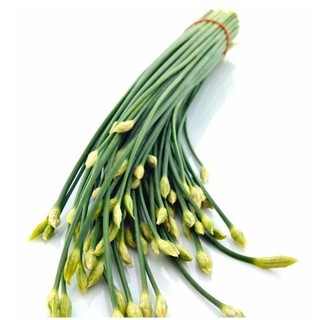 Hạt giống hẹ bông 1000 hạt