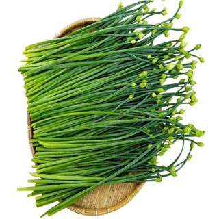 Hạt giống hẹ bông 1000 hạt