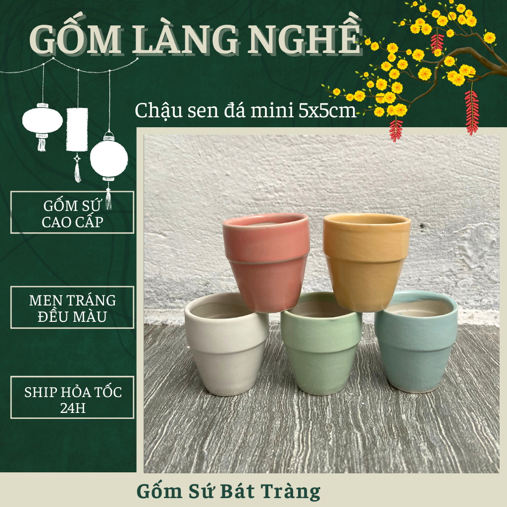 Chậu sen đá mini 5x5cm- Chậu mini trồng cây bonsai