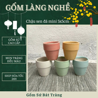 Chậu sen đá mini 5x5cm- Chậu mini trồng cây bonsai