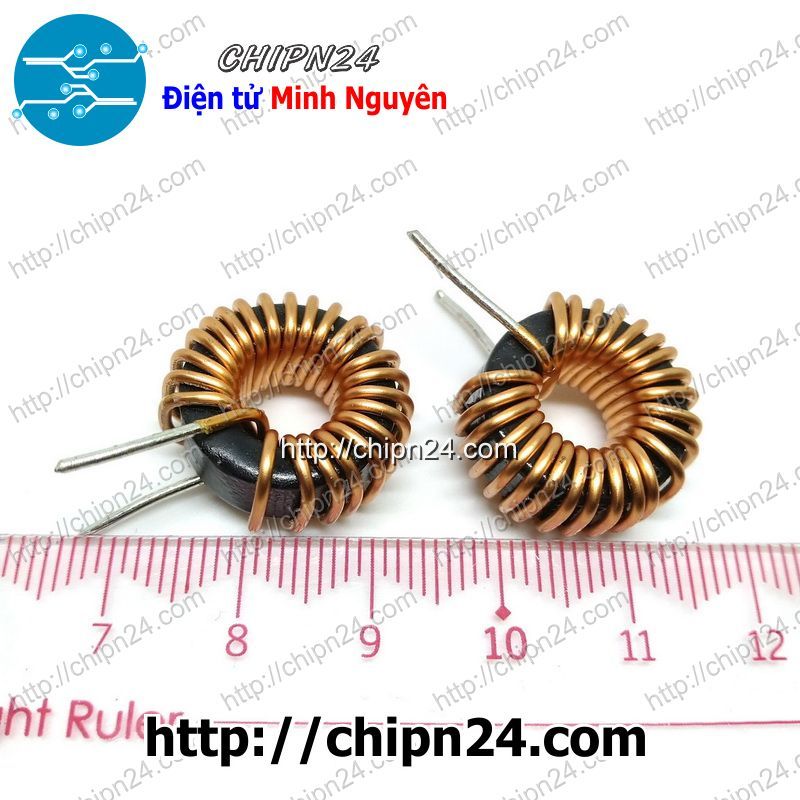 Cuộn cảm xuyến 10A Dây 1.0mm  -