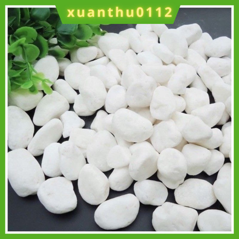 1kg sỏi trắng trang trí chậu cây, bể cá , sân vườn nhiều kích cỡ