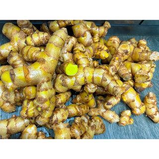 CỦ MAI GANG