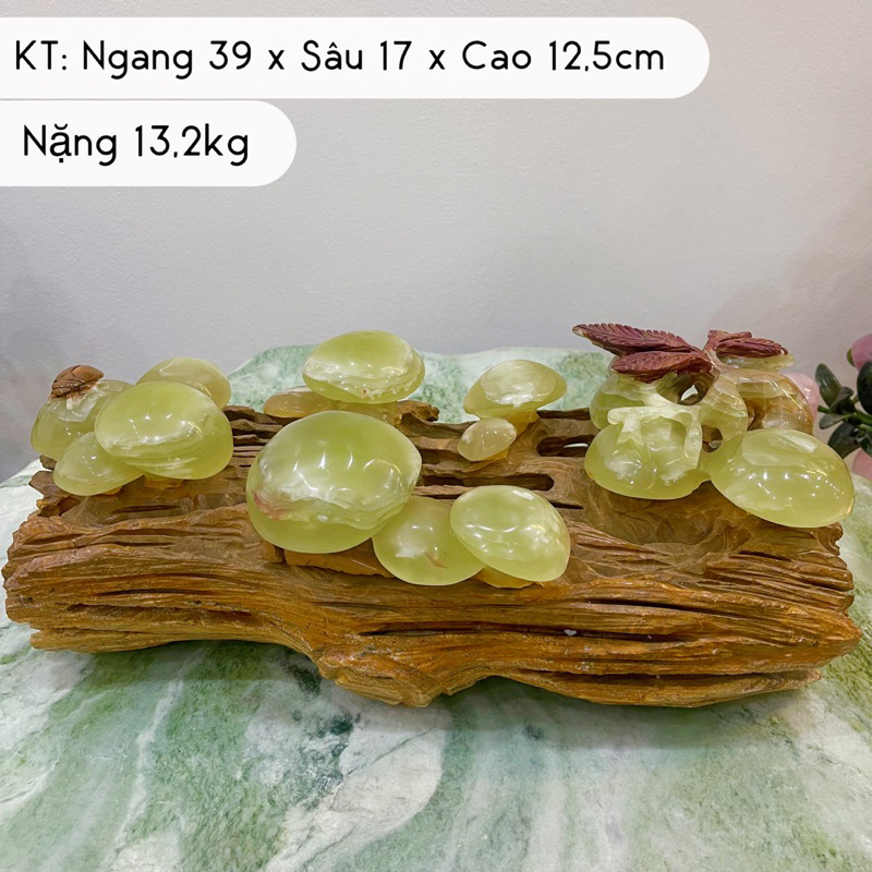 Đá Ngọc Nấm Xanh Trường Sinh Phong Thuỷ