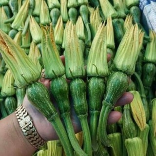 Hạt giống bí siêu nụ Trang Nông 20 hạt, siêu năng suất